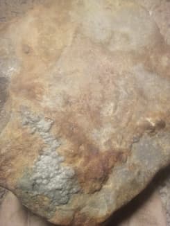 space rocks found in creek e