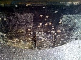 corroded pontoon5