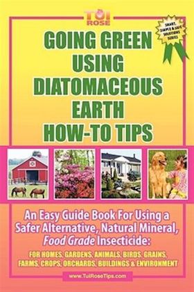 diatomacious_earth