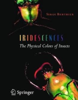 insect_irridescence