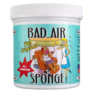 bad_air_sponge