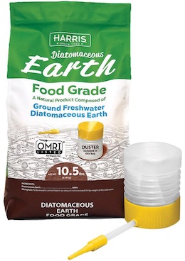 diatomaceous_earth